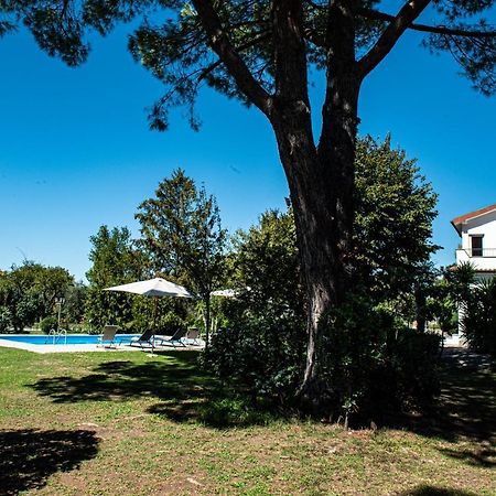 Terre Etrusche Guest House-Terme -3 Minuti Da Viterbo Centro 외부 사진
