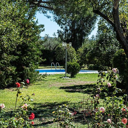 Terre Etrusche Guest House-Terme -3 Minuti Da Viterbo Centro 외부 사진