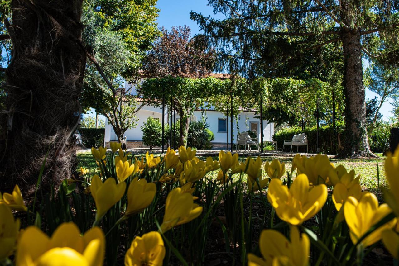 Terre Etrusche Guest House-Terme -3 Minuti Da Viterbo Centro 외부 사진
