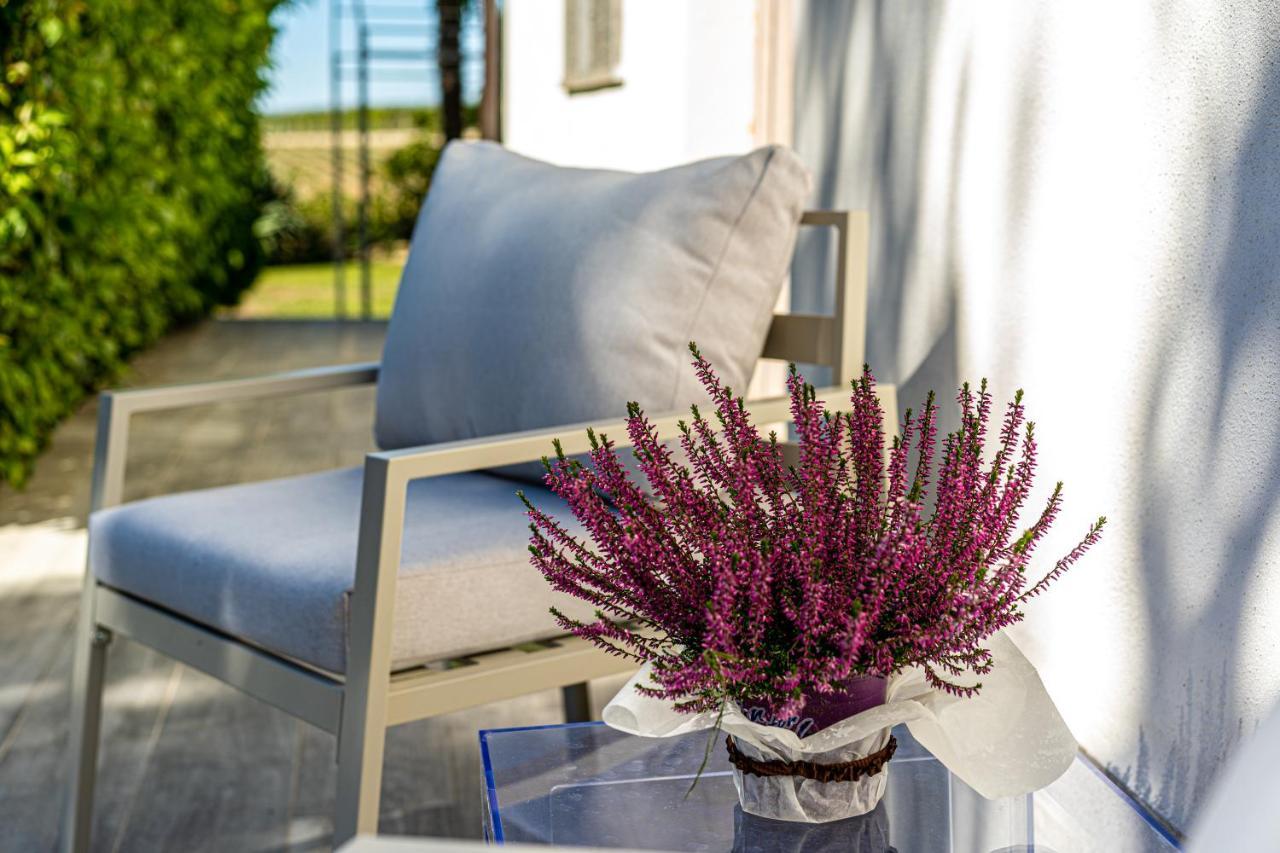Terre Etrusche Guest House-Terme -3 Minuti Da Viterbo Centro 외부 사진