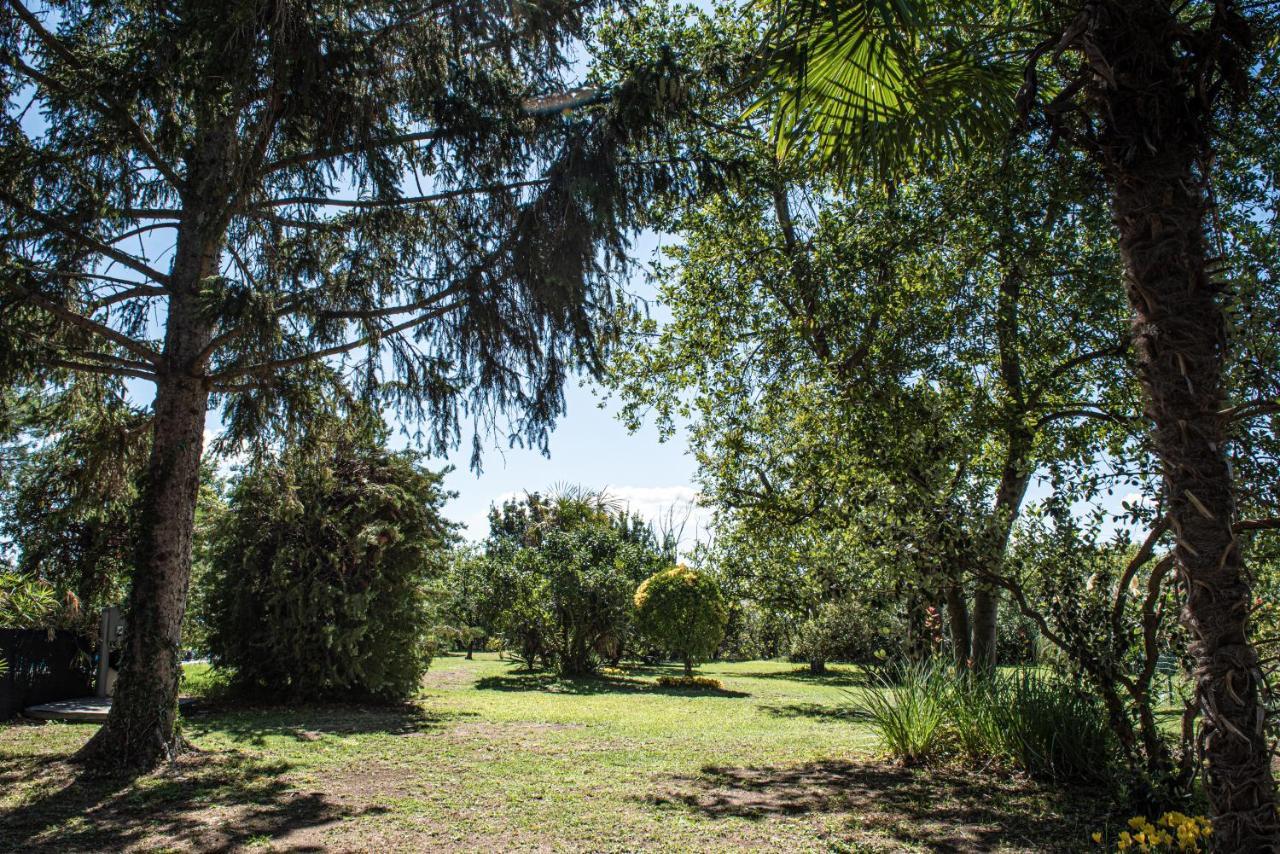 Terre Etrusche Guest House-Terme -3 Minuti Da Viterbo Centro 외부 사진